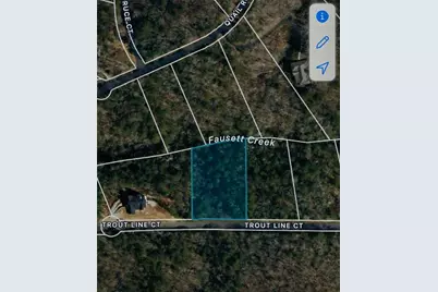 0 Trout Line Court, Talking Rock, GA 30175 - Photo 58