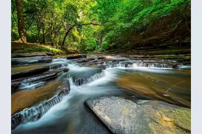 0 Trout Line Court, Talking Rock, GA 30175 - Photo 44