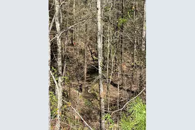 0 Trout Line Court, Talking Rock, GA 30175 - Photo 10