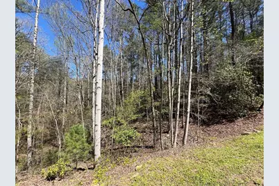 0 Trout Line Court, Talking Rock, GA 30175 - Photo 12