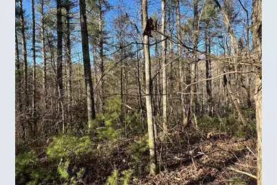 0 Trout Line Court, Talking Rock, GA 30175 - Photo 18