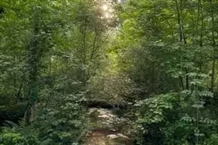 2535B Willow Ln, Social Circle, GA 30025 - Photo 1