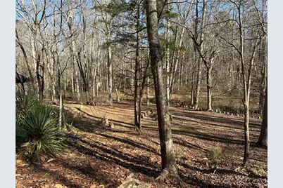 198 Sweetwater Trail, Villa Rica, GA 30180 - Photo 6