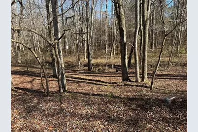 198 Sweetwater Trail, Villa Rica, GA 30180 - Photo 2