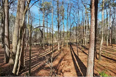 100 Old Hickory Lane, Powder Springs, GA 30127 - Photo 56