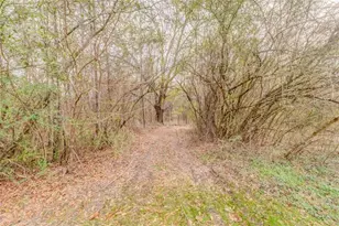 197 Colquitt Rd, Cedartown, GA 30125 - Photo 54