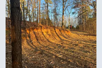 331 Paladin Drive NE, Ranger, GA 30734 - Photo 6