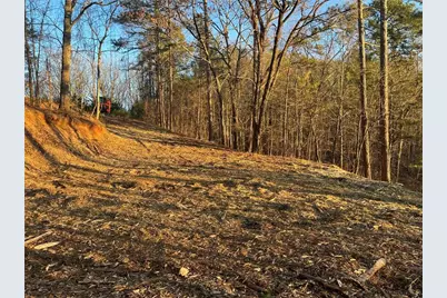 331 Paladin Drive NE, Ranger, GA 30734 - Photo 4