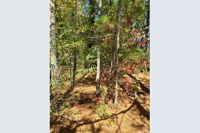 0 Scarlett Lane, Rome, GA 30161 - Photo 12