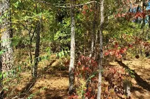 0 Scarlett Ln, Rome, GA 30161 - Photo 12