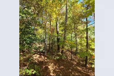 0 Scarlett Lane, Rome, GA 30161 - Photo 2