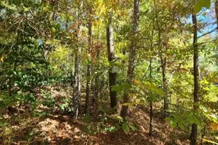 0 Scarlett Ln, Rome, GA 30161 - Photo 2