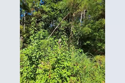 0 Scarlett Lane, Rome, GA 30161 - Photo 4