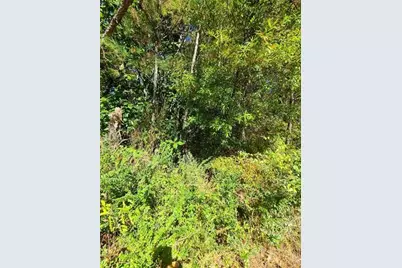 0 Scarlett Lane, Rome, GA 30161 - Photo 16