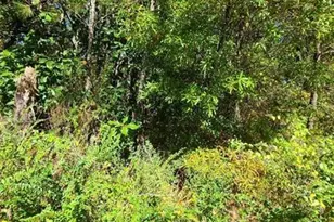 0 Scarlett Ln, Rome, GA 30161 - Photo 16