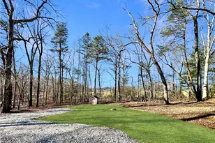 730 Carrie Cove Ln, Clarkesville, GA 30523 - Photo 14