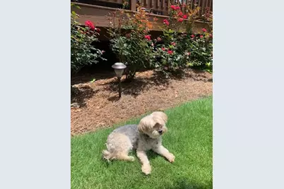 2302 English Ivy Court SE, Atlanta, GA 30339 - Photo 38