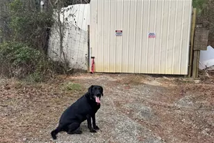 346 Clayton Chester Rd, Dawsonville, GA 30534 - Photo 8