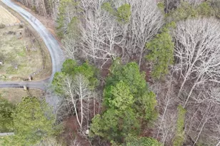 346 Clayton Chester Rd, Dawsonville, GA 30534 - Photo 6