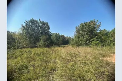 0 Blanche Road, Cedartown, GA 30125 - Photo 4