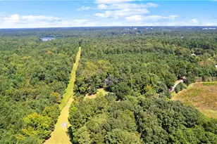 894 Upper Woolsey Rd, Hampton, GA 30228 - Photo 72