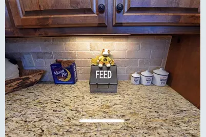 731 Native Trail, Blue Ridge, GA 30513 - Photo 24