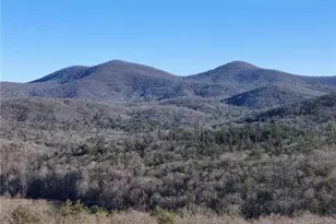 731 Native Trail, Blue Ridge, GA 30513 - Photo 54