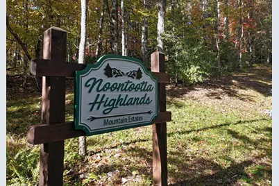 731 Native Trail, Blue Ridge, GA 30513 - Photo 52