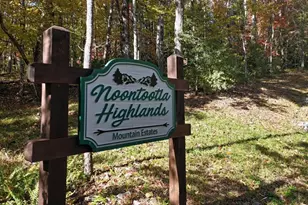 731 Native Trail, Blue Ridge, GA 30513 - Photo 52