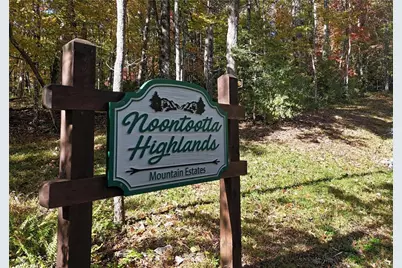 731 Native Trail, Blue Ridge, GA 30513 - Photo 106