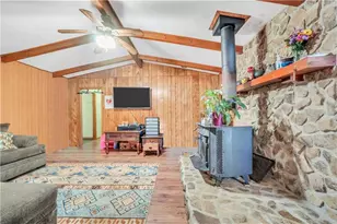 3036 High Falls Rd, Jackson, GA 30233 - Photo 10