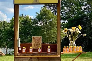 785 Nettlebrook Ln, Milton, GA 30004 - Photo 76