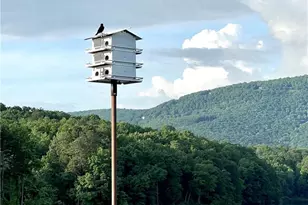 223 Denny Ridge Rd, Jasper, GA 30143 - Photo 40