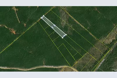 0 Lower Mill Road, Crawfordville, GA 30631 - Photo 2