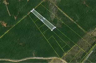 0 Lower Mill Rd, Crawfordville, GA 30631 - Photo 2