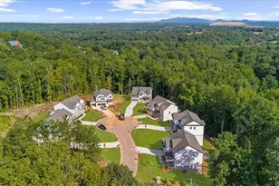 8625 Standing Stone, Ball Ground, GA 30107 - Photo 56