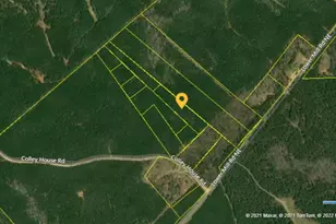 00 Lower Mill Rd, Crawfordville, GA 30631 - Photo 2