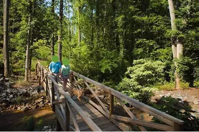 113 Edgewater Trail, Canton, GA 30115 - Photo 58