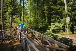 113 Edgewater Trail, Canton, GA 30115 - Photo 58