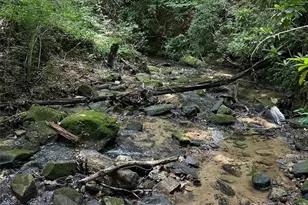 95 Holly Ln, Dahlonega, GA 30533 - Photo 36