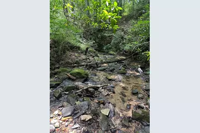 95 Holly Lane, Dahlonega, GA 30533 - Photo 38