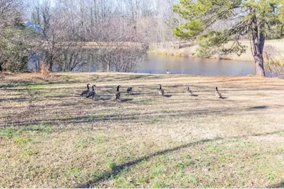 3250 Ivy Lake Drive, Buford, GA 30519 - Photo 40