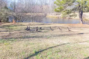 3250 Ivy Lake Dr, Buford, GA 30519 - Photo 40