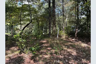 6485 Forsyth Drive, Cumming, GA 30028 - Photo 8