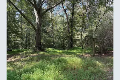 6485 Forsyth Drive, Cumming, GA 30028 - Photo 10