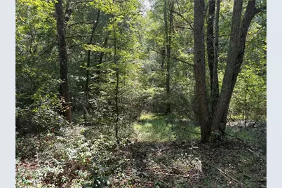 6485 Forsyth Drive, Cumming, GA 30028 - Photo 4