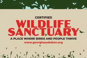 2179 William Wy, Atlanta, GA 30345 - Photo 16