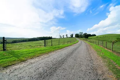 339 Cavender Lane, Bowdon, GA 30108 - Photo 8