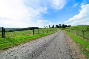 339 Cavender Ln, Bowdon, GA 30108 - Photo 8