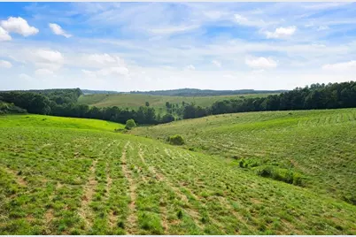 339 Cavender Lane, Bowdon, GA 30108 - Photo 16